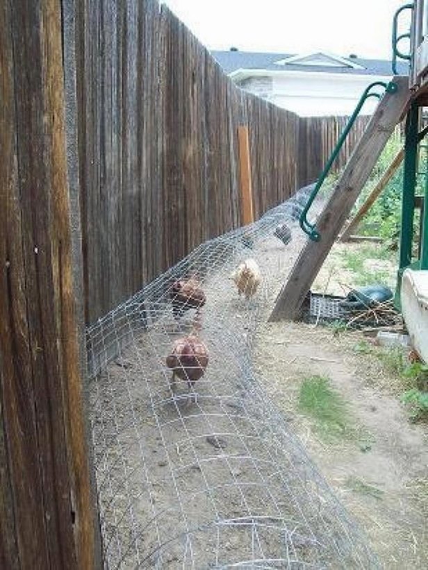 DIY Backyard Chicken Tunnels Tutorial 