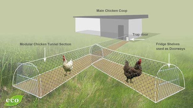 DIY Backyard Chicken Tunnels Tutorial 