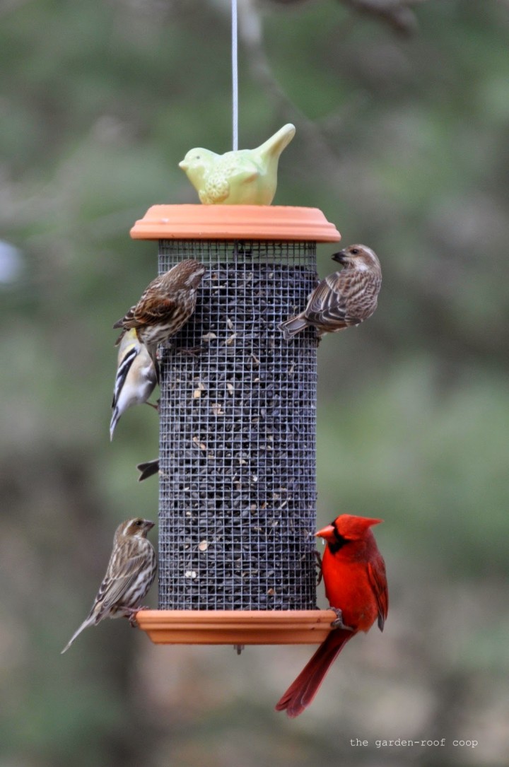 DIY Sunflower Tower Bird-Feeder Tutorial