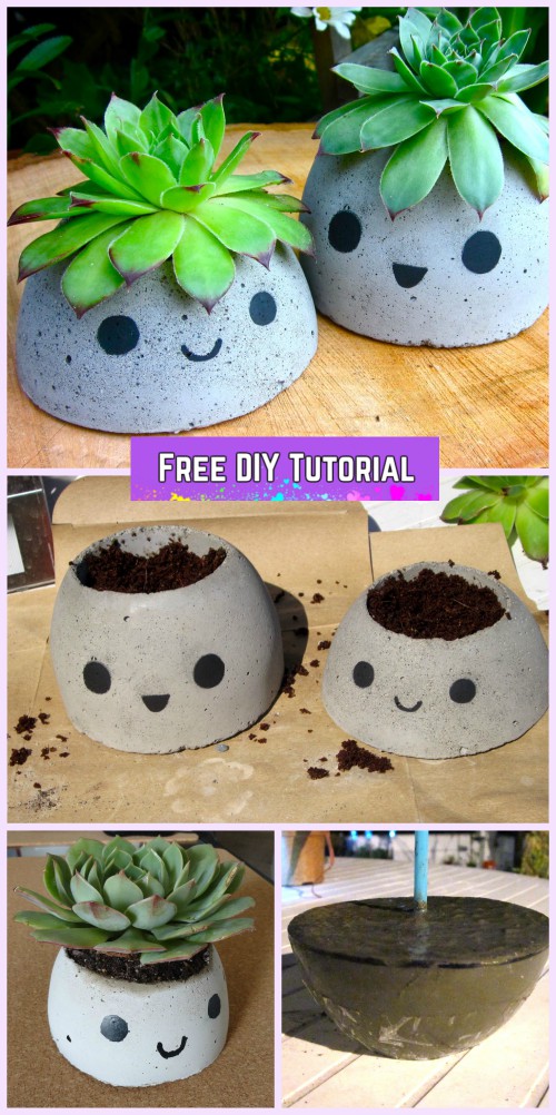 DIY Cute Concrete Planter Tutorial Using Plastic Bottle