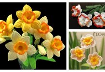 Spring Daffodil Flower Free Crochet Patterns and Paid