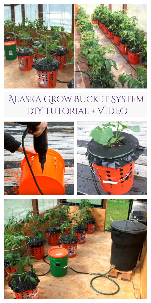 Container Gardening Tip: Alaska Grow Bucket System DIY Tutorial