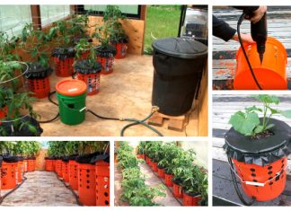 Container Gardening Tip: Alaska Grow Bucket System DIY Tutorial Container Gardening Tip: Alaska Grow Bucket System DIY Tutorial