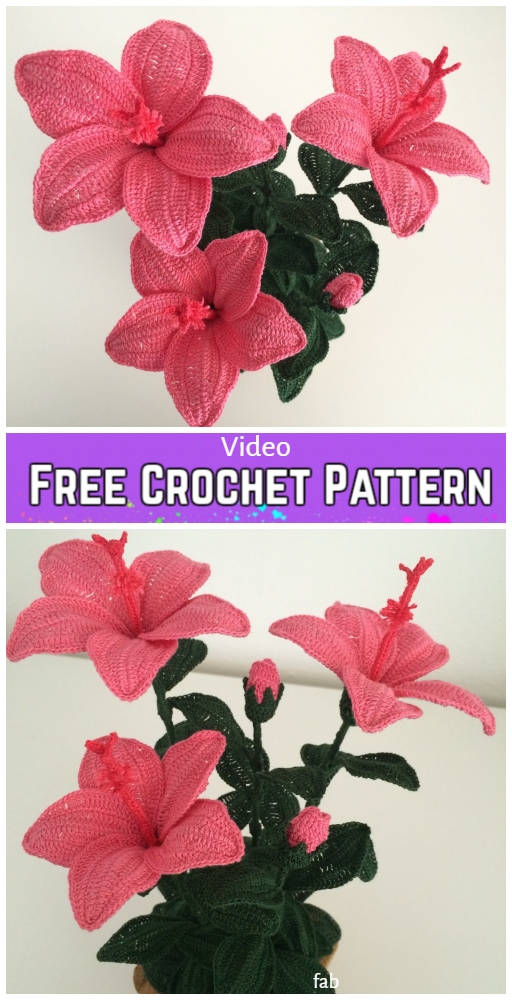 Crochet Amaryllis Flower Bouquet Crochet Free Pattern - Video