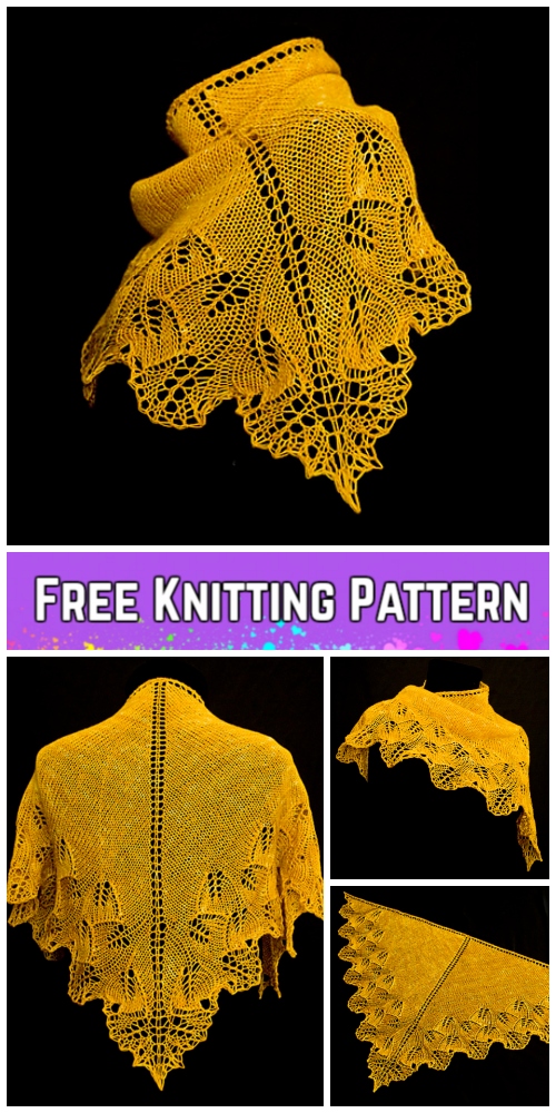 Knit Ginkgo Shoulderette Shawl Free Knitting Pattern