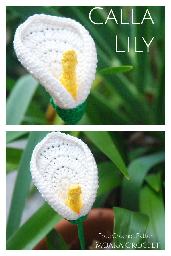 Calla Lily Flower Free Crochet Pattern