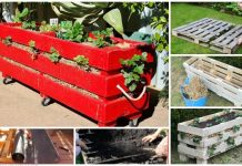 DIY Vertical Pallet Strawberry Planter Tutorials – Video DIY Vertical Pallet Strawberry Planter Tutorials - Video
