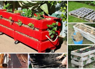 DIY Vertical Pallet Strawberry Planter Tutorials – Video DIY Vertical Pallet Strawberry Planter Tutorials - Video