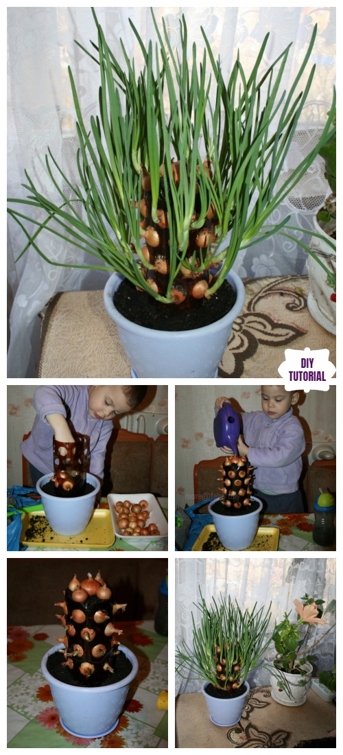 DIY Plastic Bottle Vertical Onion Tower Planter Tutorial