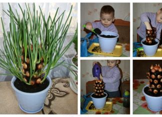 DIY Plastic Bottle Vertical Onion Tower Planter Tutorial DIY Plastic Bottle Vertical Onion Tower Planter Tutorial