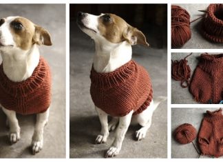 Knit The Juno Dog Jumper Free Knitting Pattern Knit The Juno Dog Jumper Free Knitting Pattern