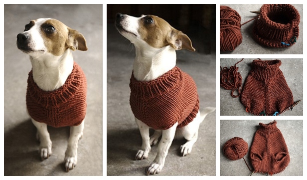 Knit The Juno Dog Jumper Free Knitting Pattern Diy Magazine