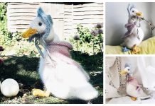 Knit Jemima Duck Free Knitting Pattern Knit Jemima Duck Free Knitting Pattern
