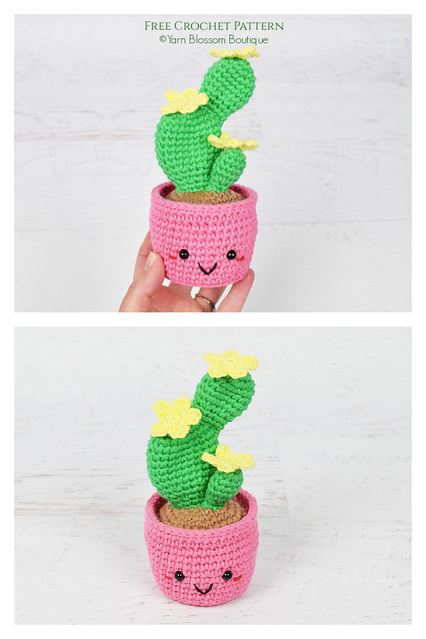 Amigurumi Flower Cactus Free Crochet Patterns