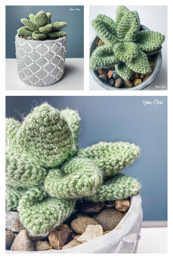 Amigurumi Desktop Succulent Free Crochet Pattern