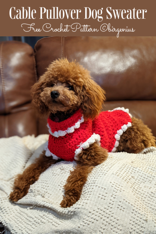 Cable Pullover Dog Sweater Christmas Outfit Free Crochet Patterns