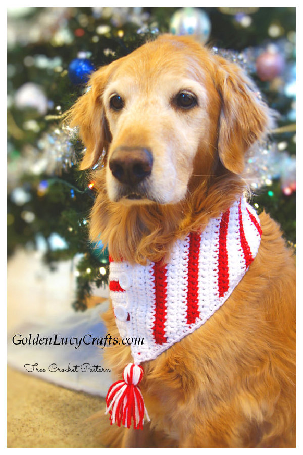 Christmas Candy Cane Dog Scarf Free Crochet Patterns