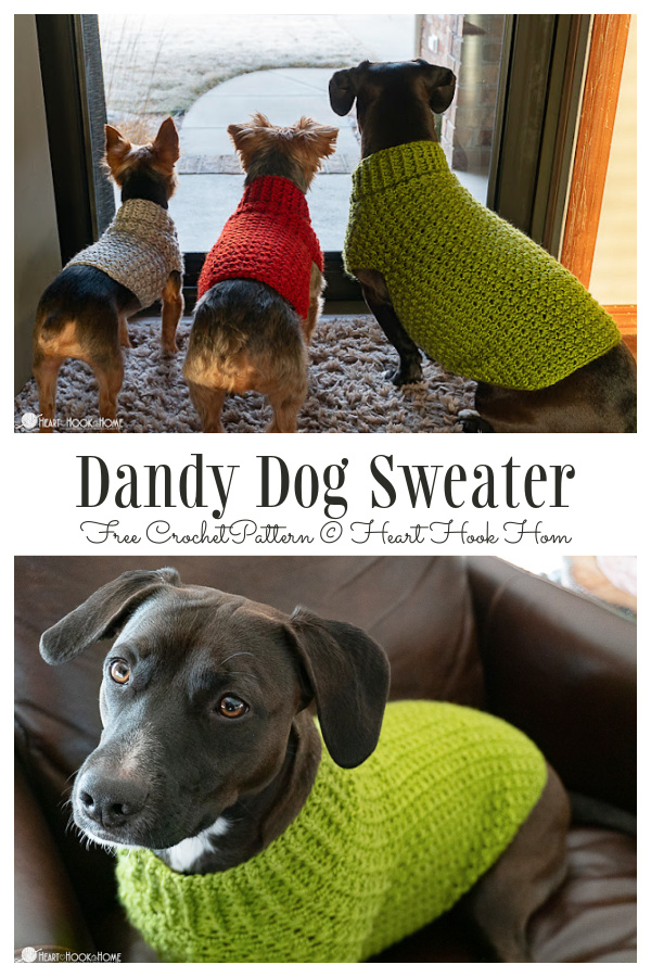 Patrones de ganchillo gratis de suéter de perro Dandy
