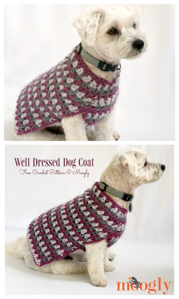 Patrones de ganchillo gratis de suéter de perro abuelita bien vestido