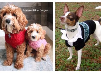 Dog Sweater Free Crochet Patterns Dog Sweater Free Crochet Patterns