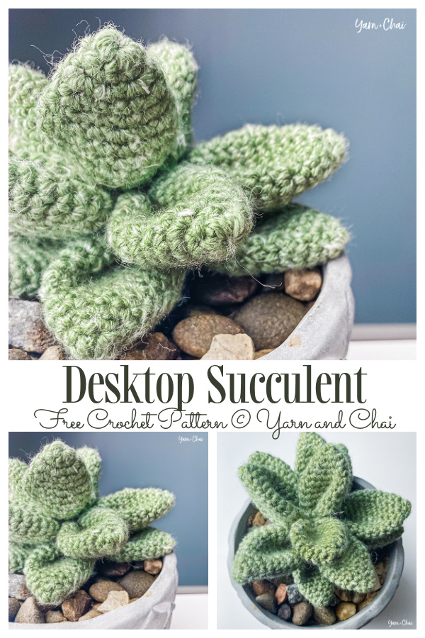 Crochet Desktop Succulent Amigurumi Free Patterns