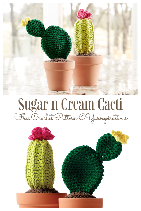 Crochet Potted Cactus Amigurumi Free Patterns