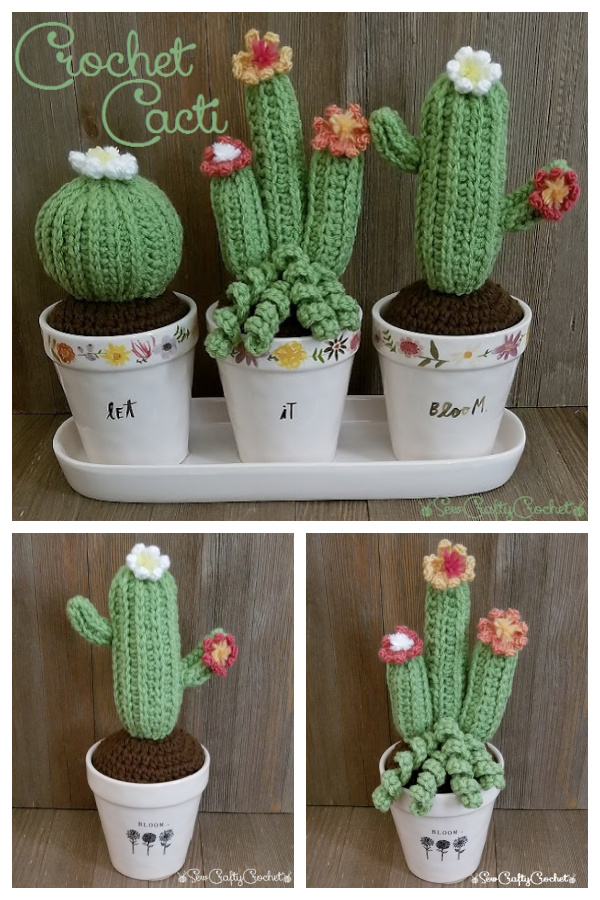 Crochet Flowering Cactus Amigurumi Free Patterns