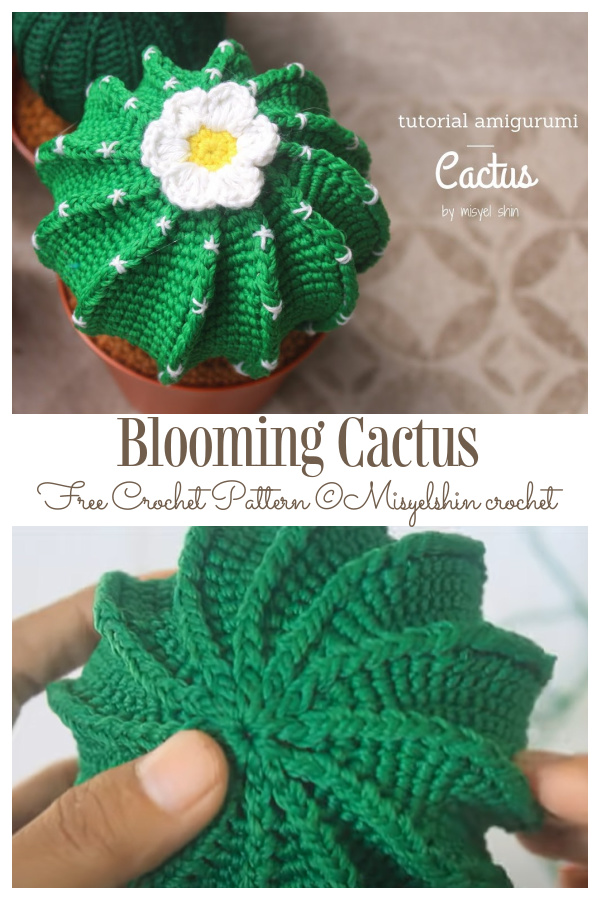 Crochet Potted Cactus Amigurumi Free Patterns