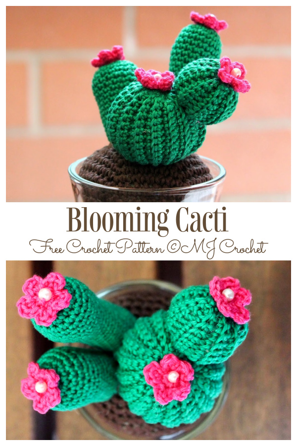 Crochet Blooming Cacti Amigurumi Free Patterns