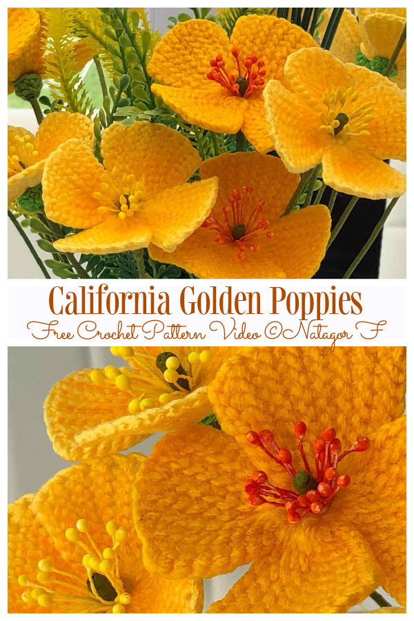 California Golden Poppies Free  Crochet Video Tutorial