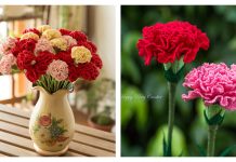 10 Carnation Flower Free Crochet Patterns and Paid Carnation Flower Free Crochet Patterns
