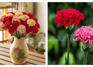 10 Carnation Flower Free Crochet Patterns and Paid Carnation Flower Free Crochet Patterns