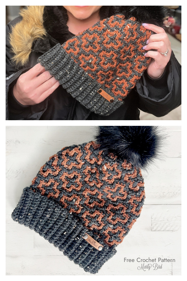 Autumn Breezes Mosaic Hat Free Crochet Pattern