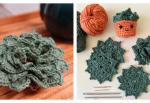 Succulent Coaster Set Crochet Patterns Succulent Coaster Set Crochet Patterns
