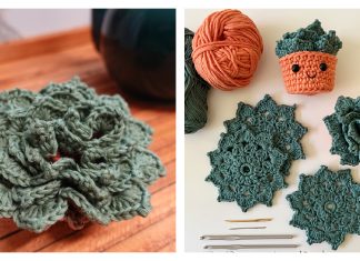 Succulent Coaster Set Crochet Patterns Succulent Coaster Set Crochet Patterns