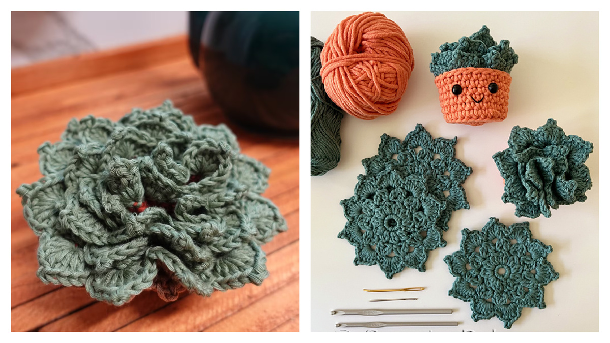Succulent Coaster Set Crochet Patterns - DIY Magazine