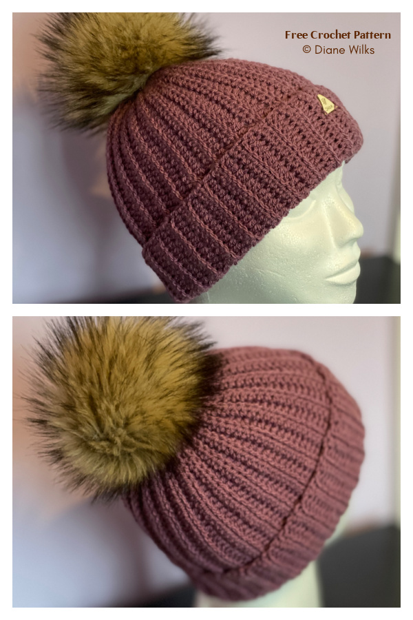 Easy Ribbed Hat FREE Crochet Pattern