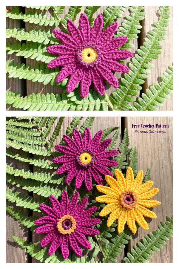 Autumn Gerbera Flower Free Crochet Pattern