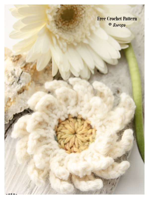 Gerbera&nbsp;Flower Free Crochet Pattern