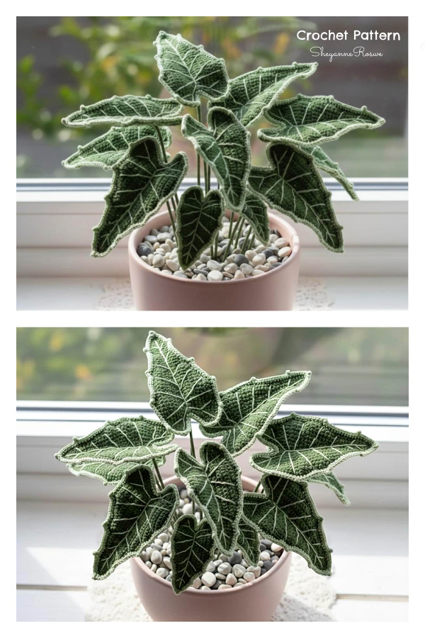 Realistic Coleus Plants Crochet Pattern