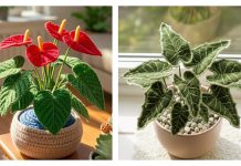 Realistic Plants Crochet Patterns Realistic Plants Crochet Patterns